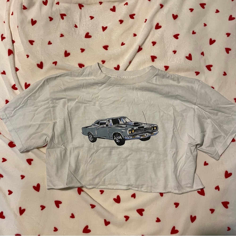 Brandy Melville cropped graphic tee